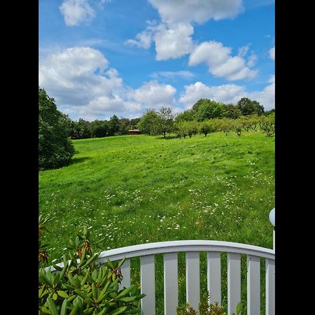 Neu Ferienwohnung Odenwald Rimhorn Eksteriør billede